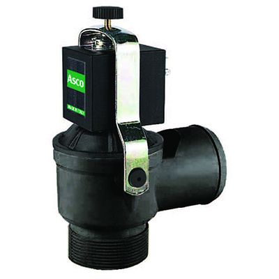 Asco-P-D237