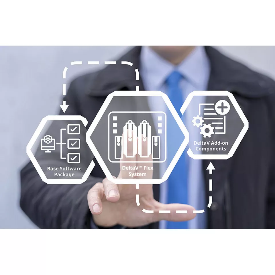 DeltaV Flex 시스템
