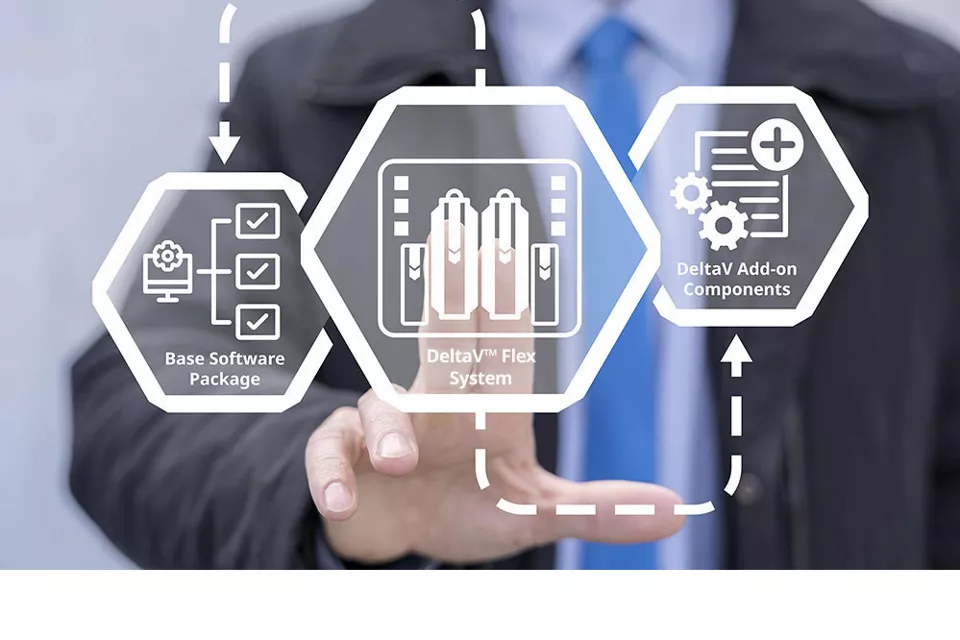 DeltaV Flex 시스템