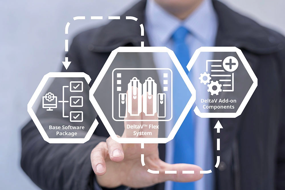 The DeltaV™ Flex System