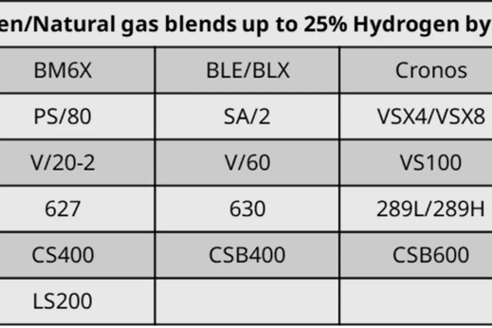 Emerson의 기술 자원을 활용하여 지속 가능성으로 고객에게 도움