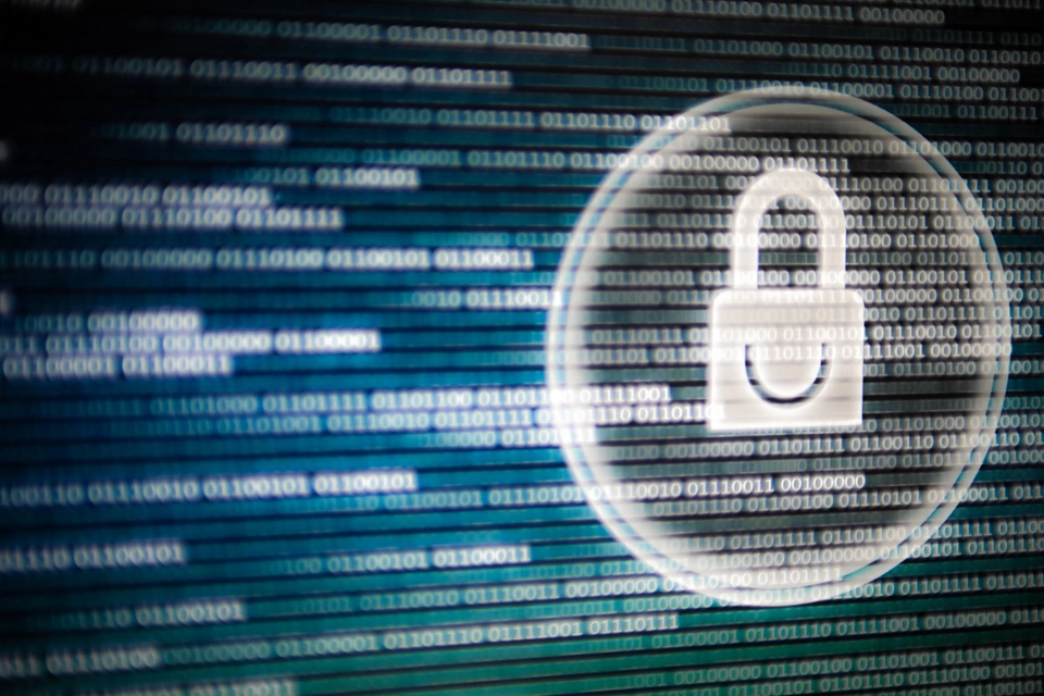 잠재적인 위협에 대한 플랜트 보호