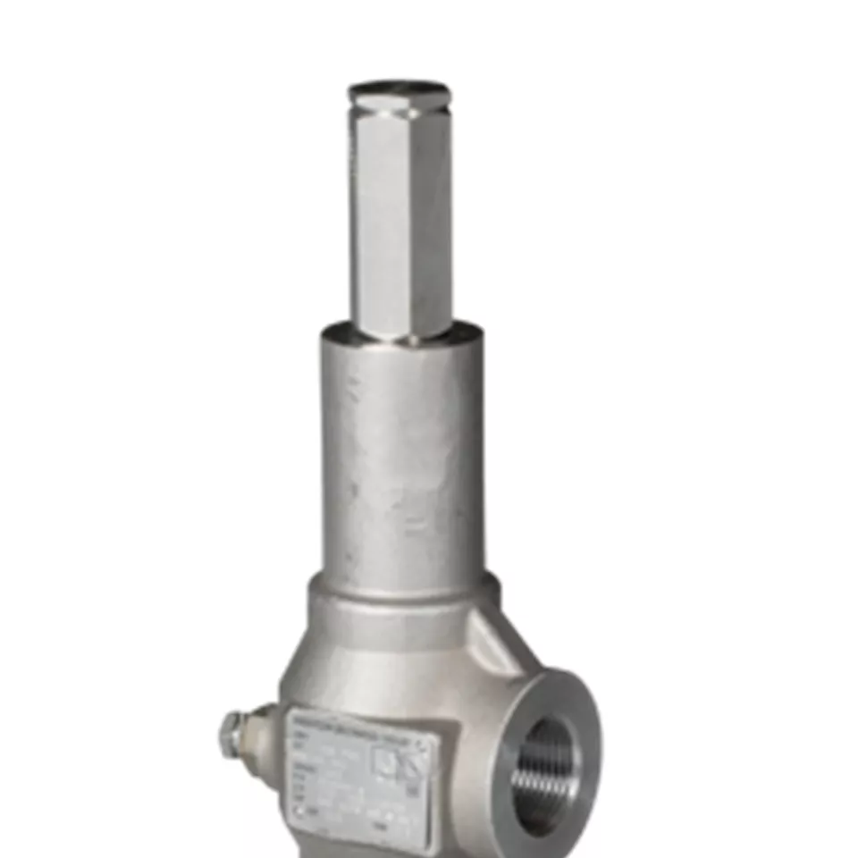 Anderson Greenwood Direct Spring Operated Pressure Relief Valves Series 60/80