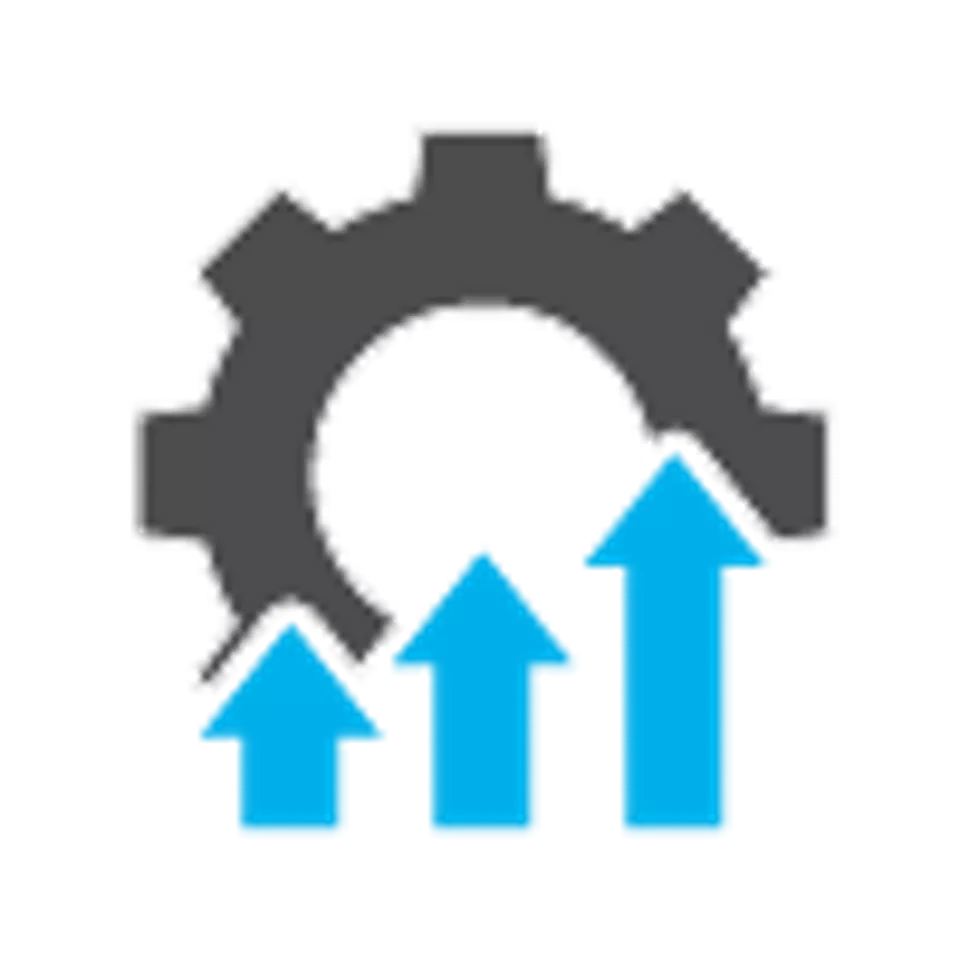 기존 자산에 대한 수익 극대화