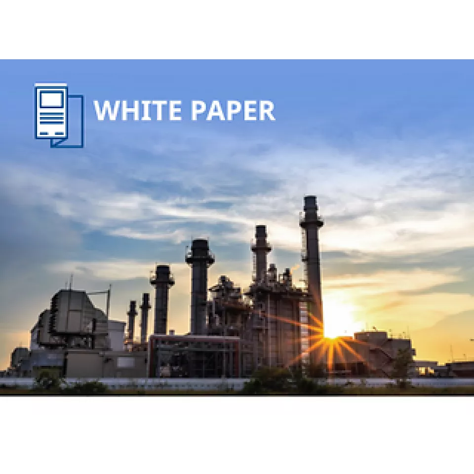 가스 화력 발전소 피드 애플리케이션의 압력 레귤레이터