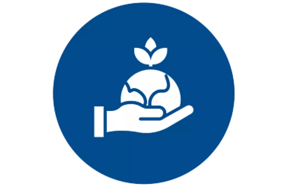 지속 가능성 솔루션