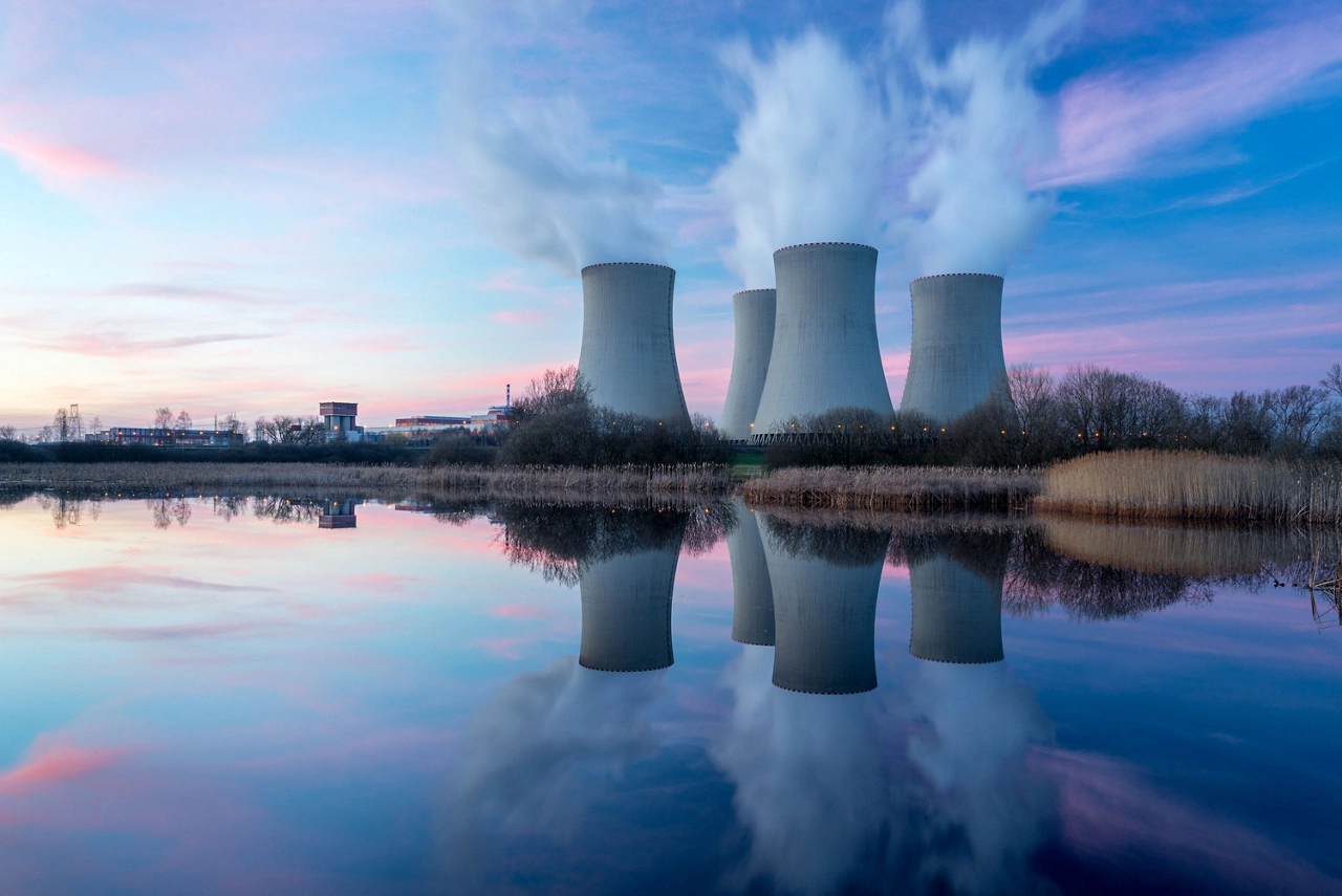 Combustion Analysis in Coal-Fired Power Plants