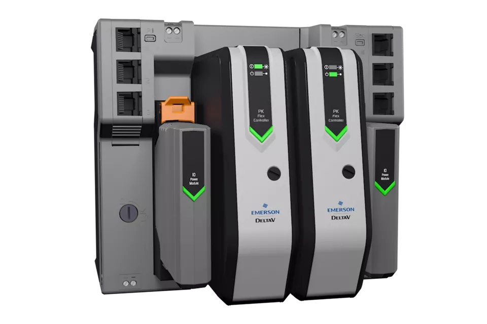 DeltaV PK Flex 컨트롤러