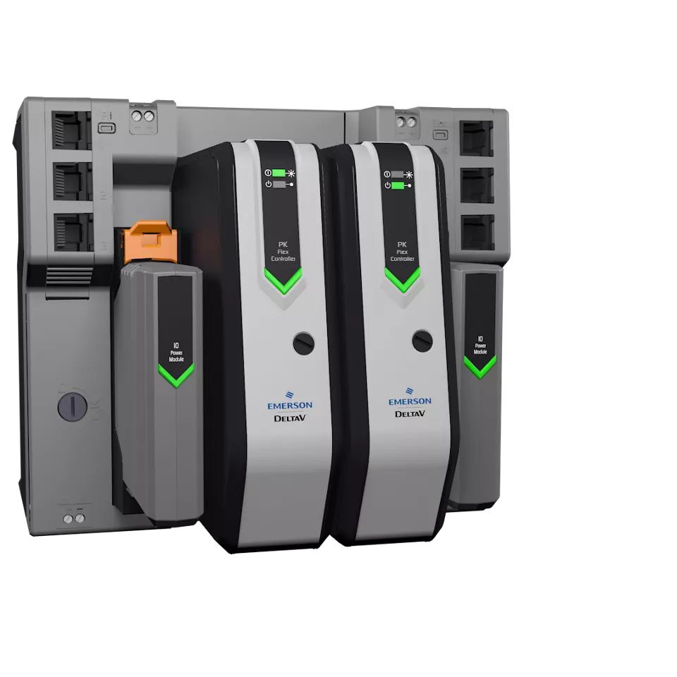 DeltaV PK Flex 컨트롤러