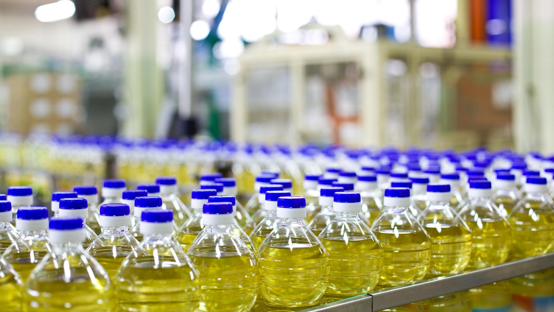 Factory for the production of edible oils. Shallow DOFF. Selective focus. The focus is on the bottle in the center down.