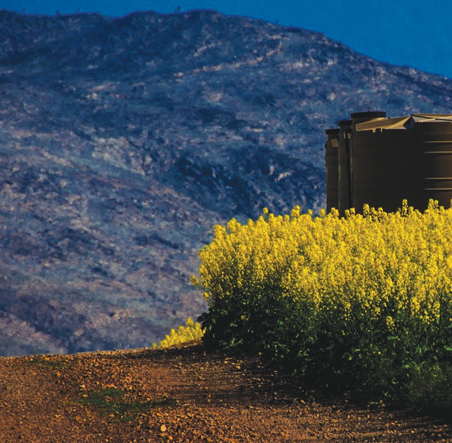 Gain Flexible Operational Data from Remote Assets Brochure