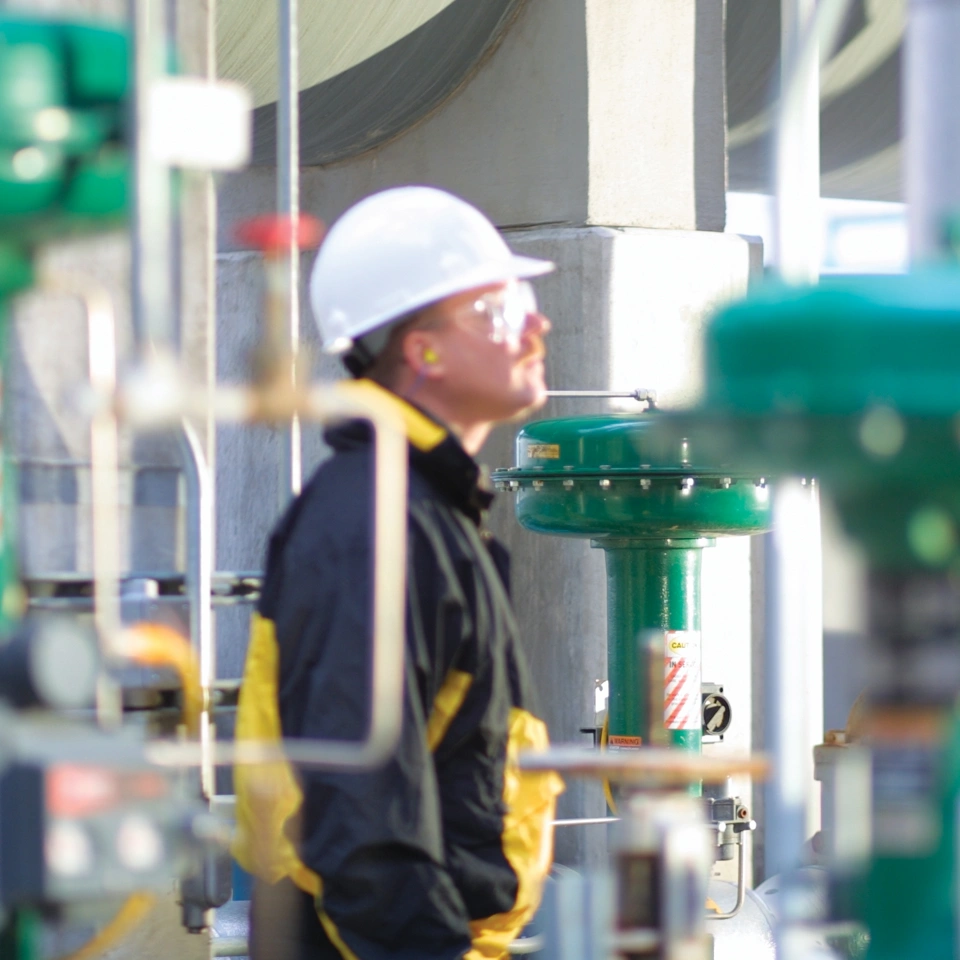 라이프 사이클 전략