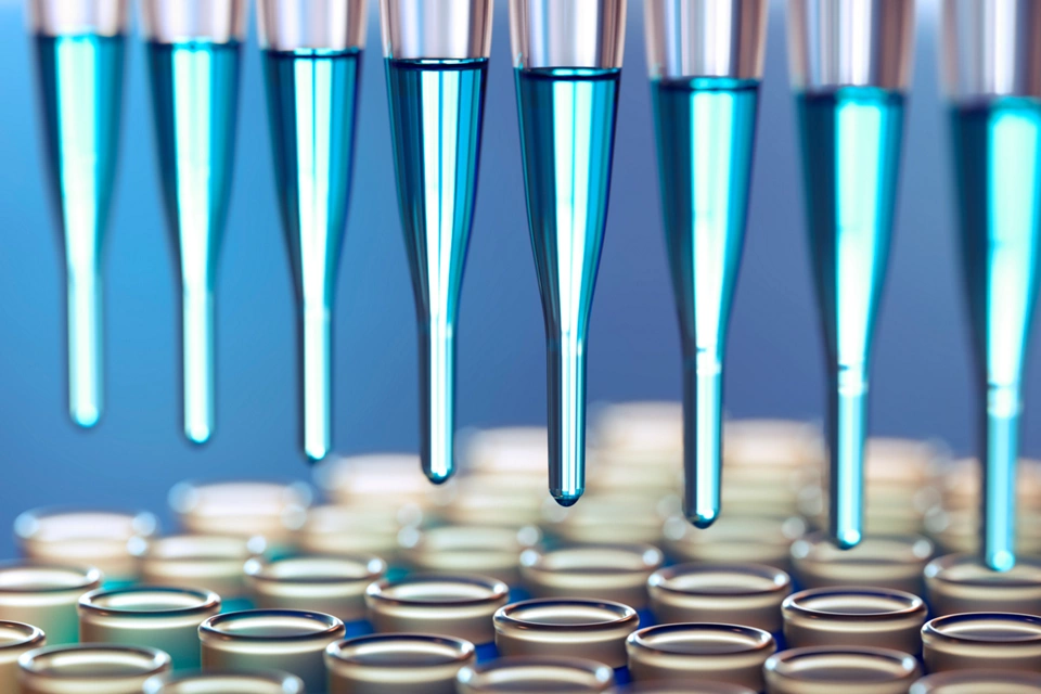 더 작은 배치 시장 탐색