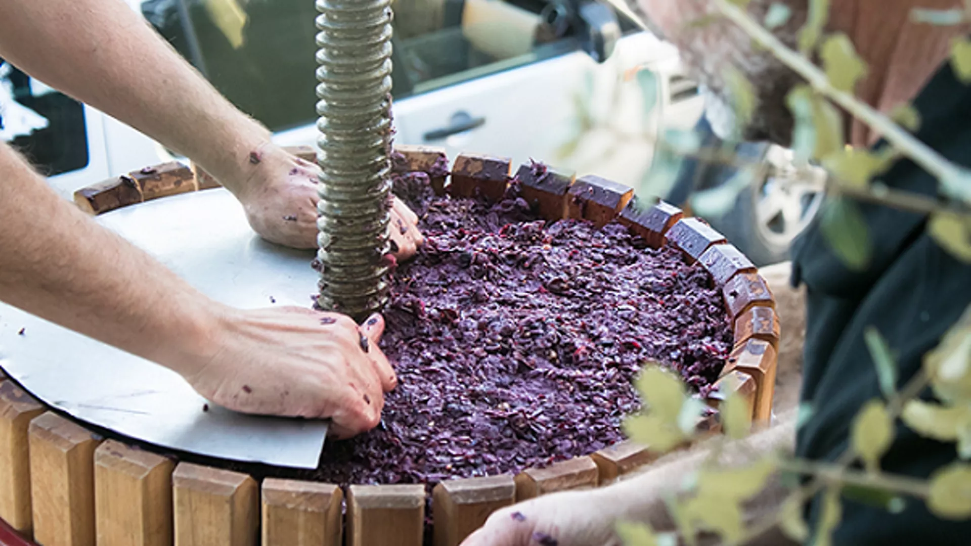 Measurement Instrumentation for Pressing in Winemaking