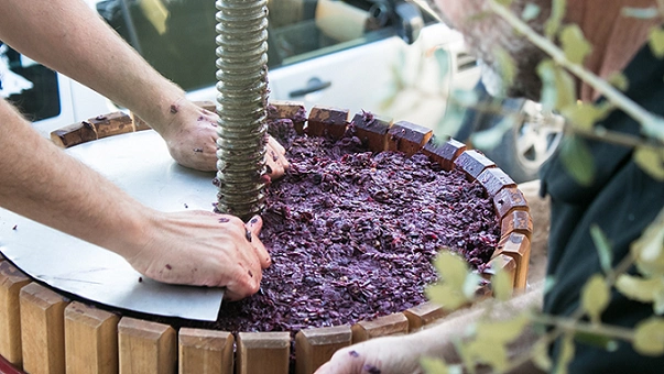 Measurement Instrumentation for Pressing in Winemaking