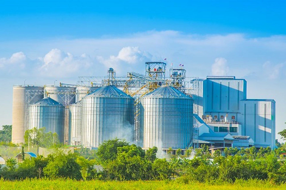 Ingomar 포장을 위한 간단한 보호 시스템 현대화