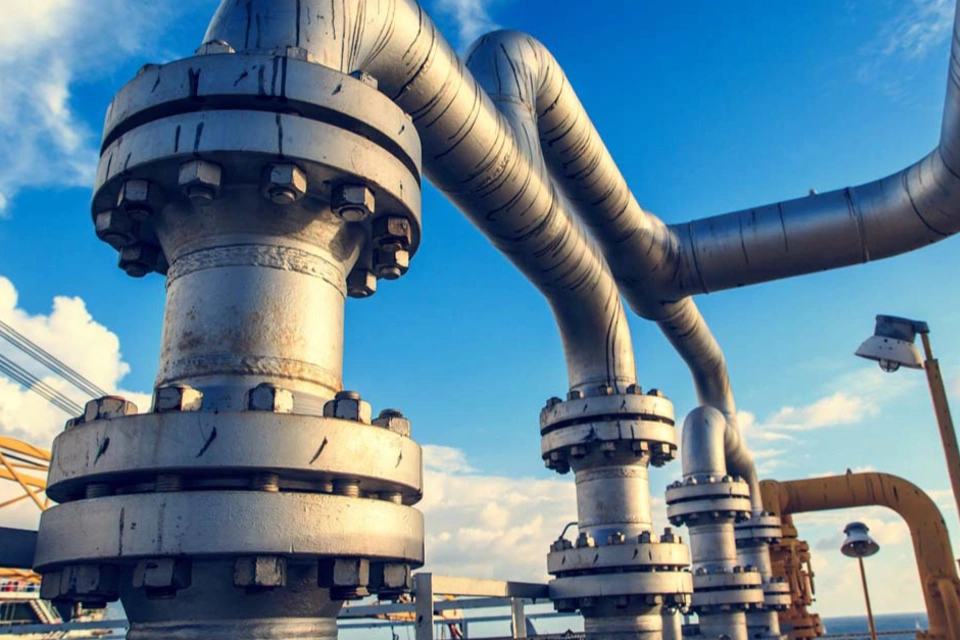 최적화 및 일정 예약