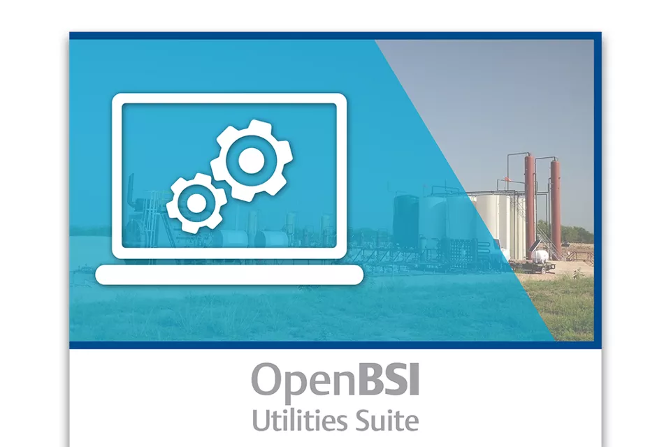 PD001_openbsi
