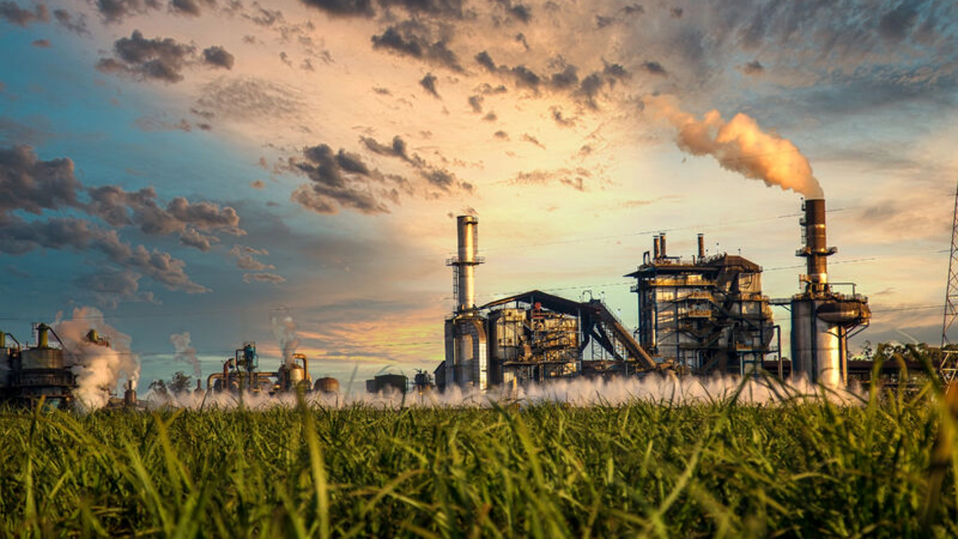 pH Measurement in Sugar Refining