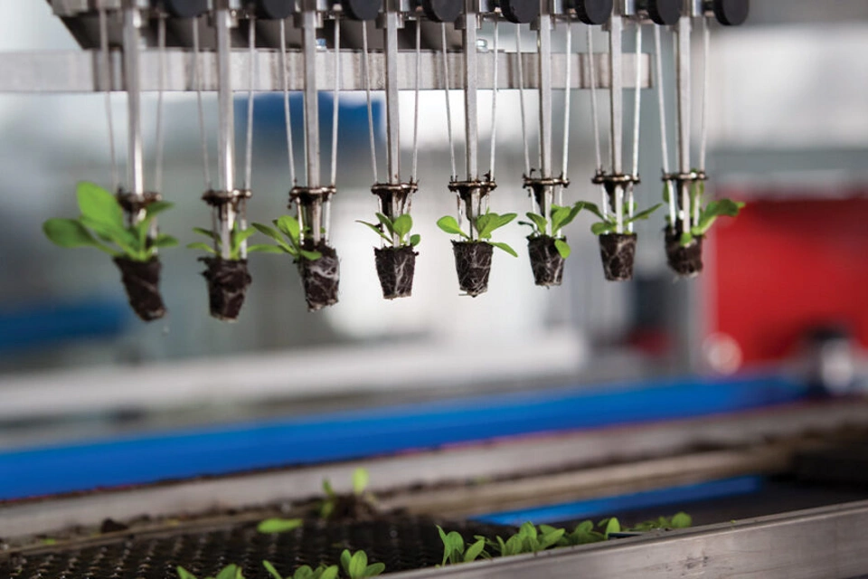 자동화를 통해 조직의 지속 가능성 목표를 달성하는 방법