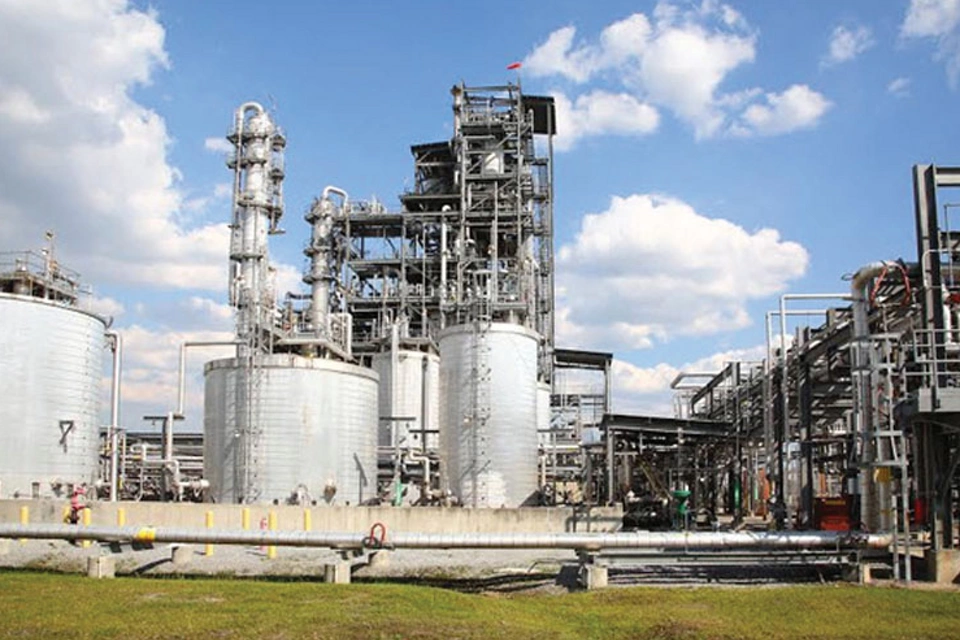 파인 스테롤(Pine Sterols) 공정 변경을 통한 수요 충족