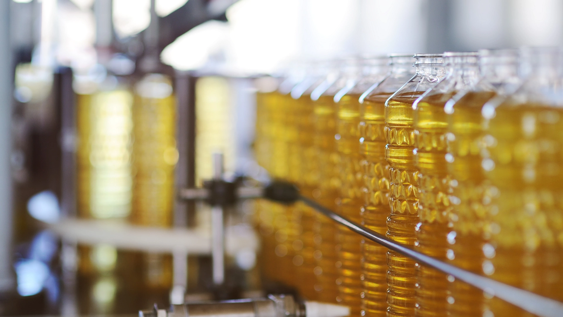 Sunflower oil in the bottle moves along the conveyor line. Production of vegetable refined oil from sunflower seeds