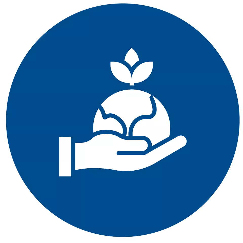 지속 가능성 솔루션