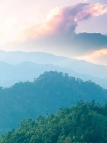 Roxar - Statement in Accordance with the Norwegian Transparency Act 2024