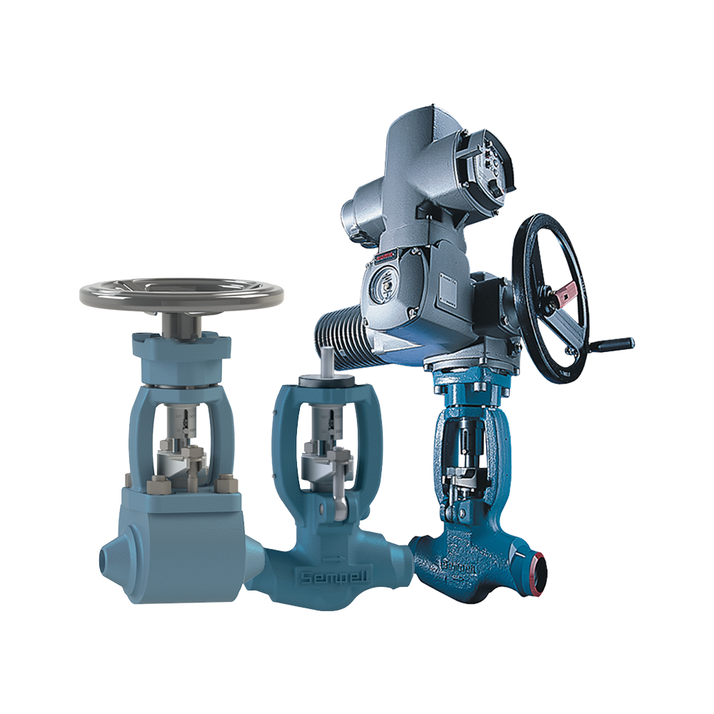 Sempell Model VA500 High Pressure Small Bore Globe Valves | Emerson