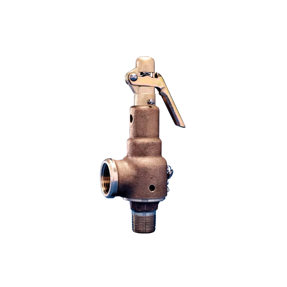 시리즈 6000 안전 밸브