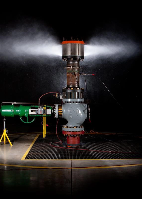 Fisher severe service control valves