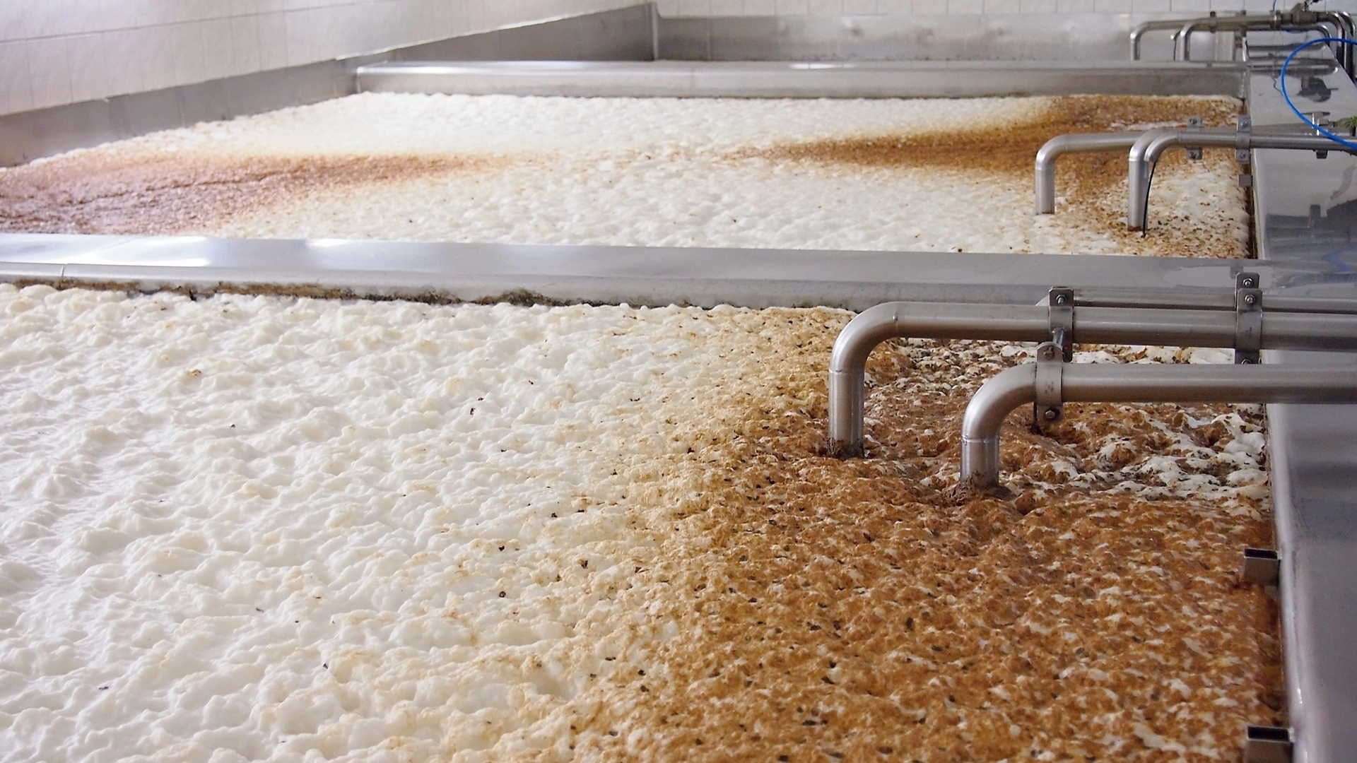 Fermenting of a beer in an open fermenters in a brewery.