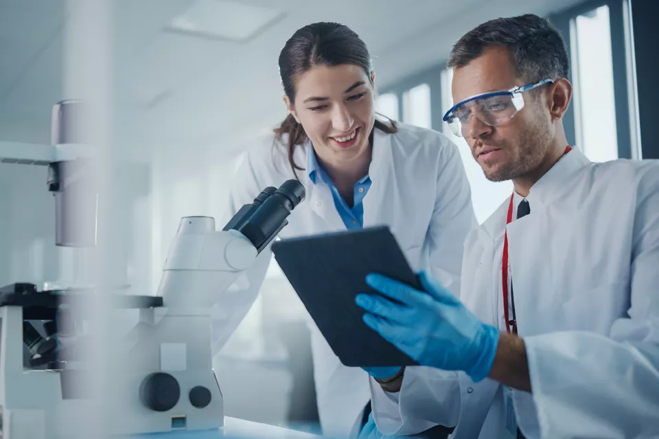 배치 히스토리언