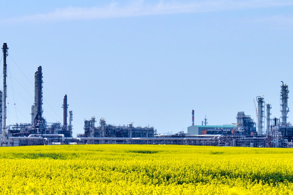 배출 책무 예측, 감지, 예방