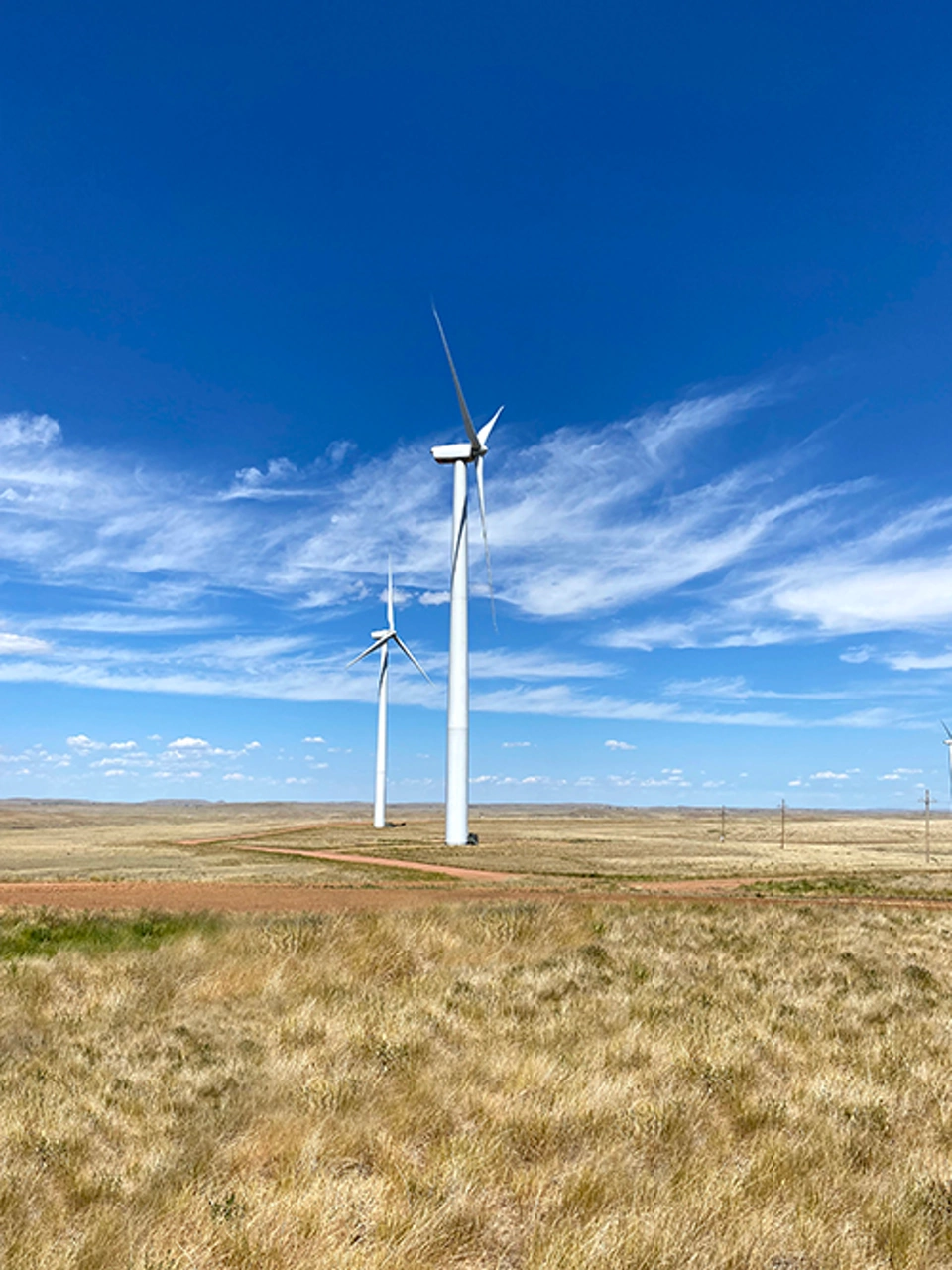 wind farm optimization