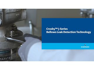 안전 그 이상의 가치: Crossby ™ 벨로우즈 누출 감지 솔루션을 통해 균형 잡힌 운영 보장